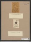 Porodiscus interrupta Grove et Sturt. (de-Toni-Nr.: Genus 200, Species 4831a) Zeichnungen Sammlung Grunow Nr. 8493 (NHMW-BOT-W0377964)